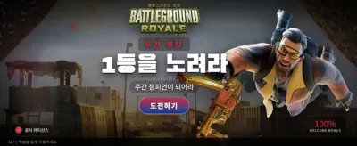 최후의 승자를 위한 배틀그라운드