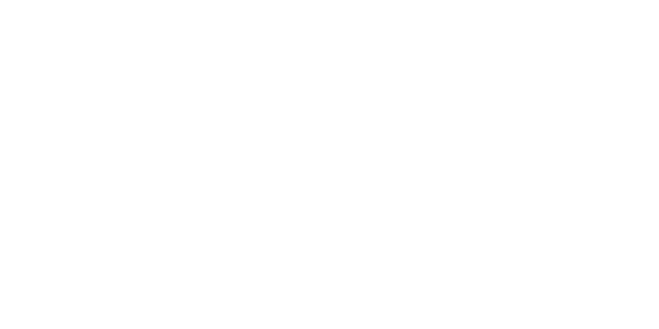 에이스 넷 logo